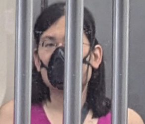liz-fong-jones-mask-jail.png