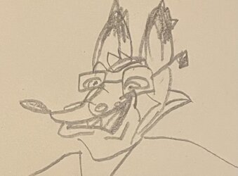 IMG_0312.jpeg