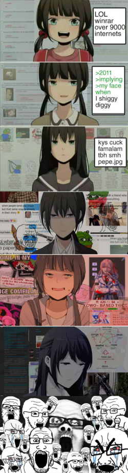 1729907154687i.png