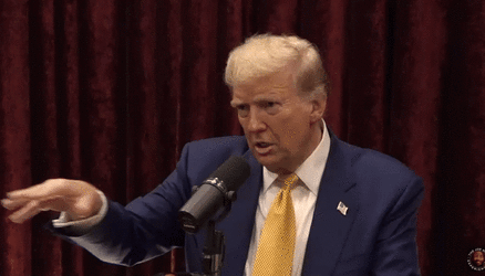 SeanceTrump.gif