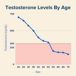 Testosterone-Levels-By-Age-Chart-1024x1024.png