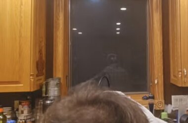 IMG_9561.jpeg