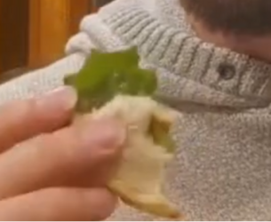 1730052119295.png