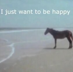 i just want to be happy.jpg
