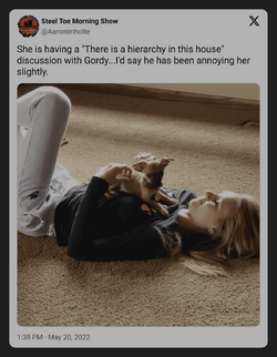 tweet_15277354a (1).png