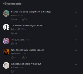 Comments 2.png