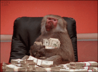 giphy-3553678966.gif