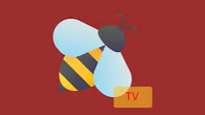 IMG_0195.png