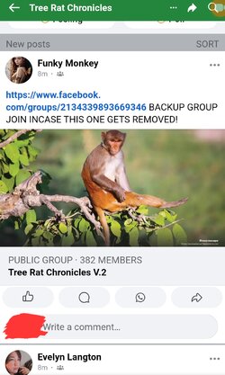 Screenshot_20241020_173238_Chrome.jpg