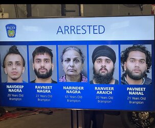 criminalpajeets.jpeg