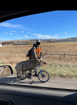 But I live rurally and like to hunt. I NEED a giant truck! Not this guy..png