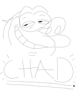 Untitled 1.png