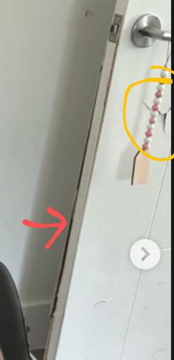 1000006851.png