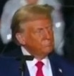 1730306744992.png