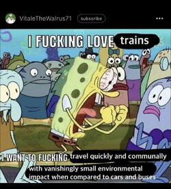 IMG_2441.jpeg