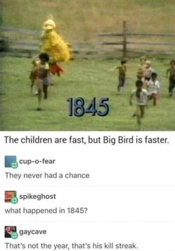 IMG_9280.jpeg