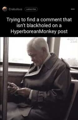 IMG_2446.jpeg