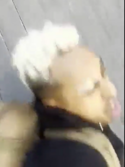 Screenshot 2024-10-31 083523.png
