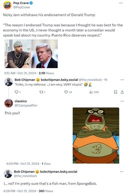 stupid5.jpg