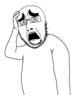 IMG_9381.png
