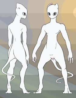 kicotin.png