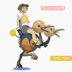 ポケモンライド_003.jpg