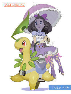 ポケモンライド_004.jpg