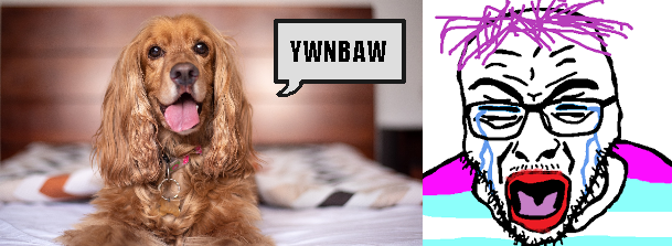 spaniel.png