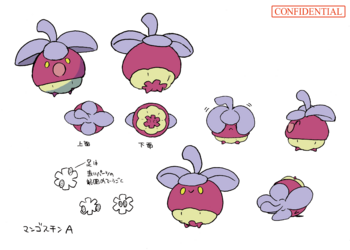 色違い設定アマカジ.png
