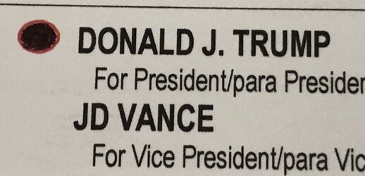 ballot.jpeg