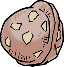 Untitled-1_0008_きのみ.png