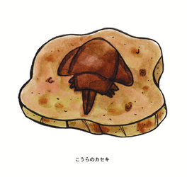 Untitled-1_0026_こうらのカセキ.png