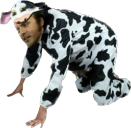 Full Cow Regalia.png