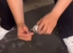 1730461539588.png