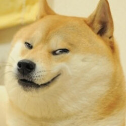 doge-smug.jpg