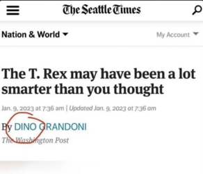 4aea7fef5344a182.png