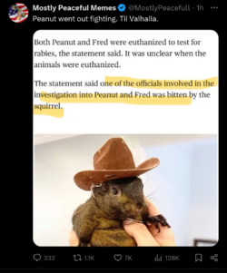 Screenshot_20241102-131228.png