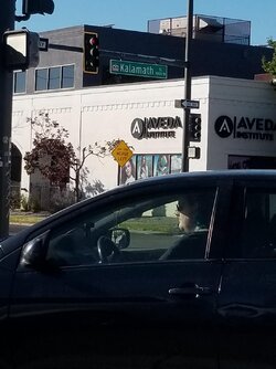 chris-chan-spotted-v0-geumce78viyd1.jpg
