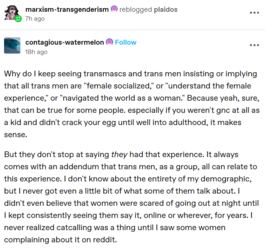 1730584048214.png
