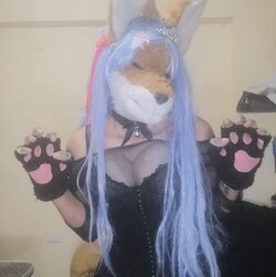 roawr.jpg
