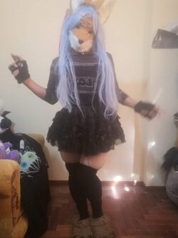 1730583109645.jpg