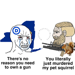 1730601252277.png