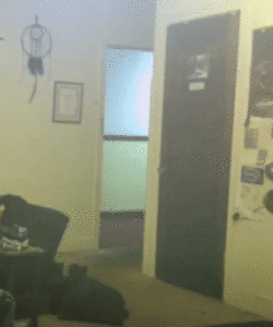 IMG_5954.gif