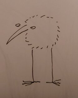 1000022234.jpg