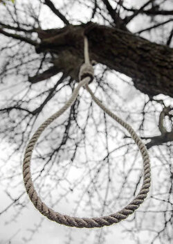 noose-hanging-in-a-tree.jpg