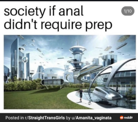 1000033520.png
