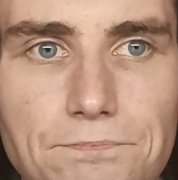1730676558830.png