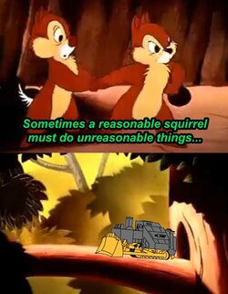 76e5ac76b7c01f48.jpg