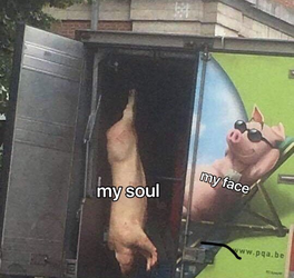 1730680550657.png