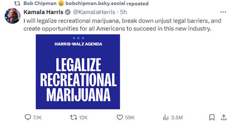 pot.jpg